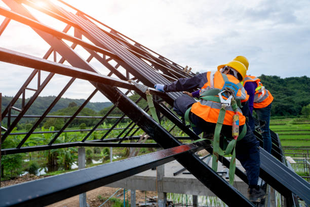 Best Shingle Roofing Installation  in Virden, IL