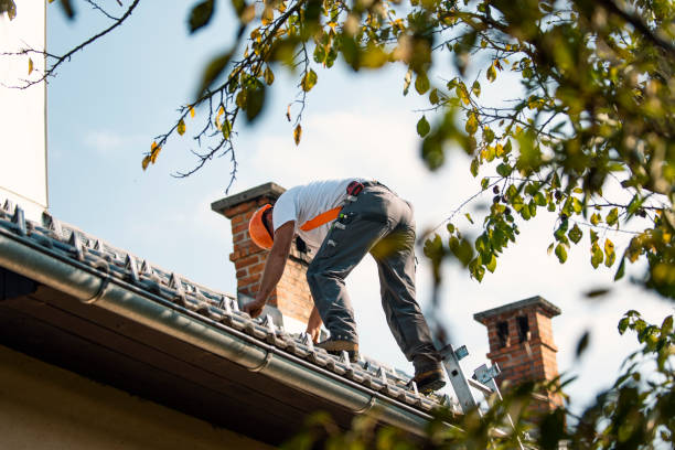 Best Roof Gutter Cleaning  in Virden, IL