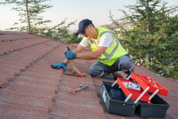 Best Roof Waterproofing Services  in Virden, IL
