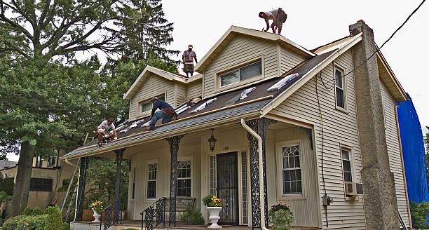 Best Roof Repair Services  in Virden, IL