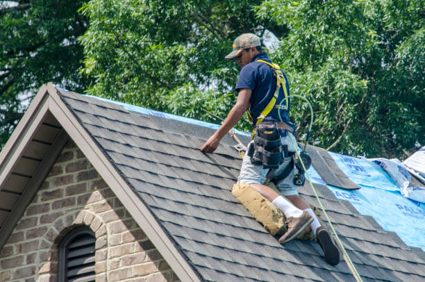 Best Storm Damage Roof Repair  in Virden, IL